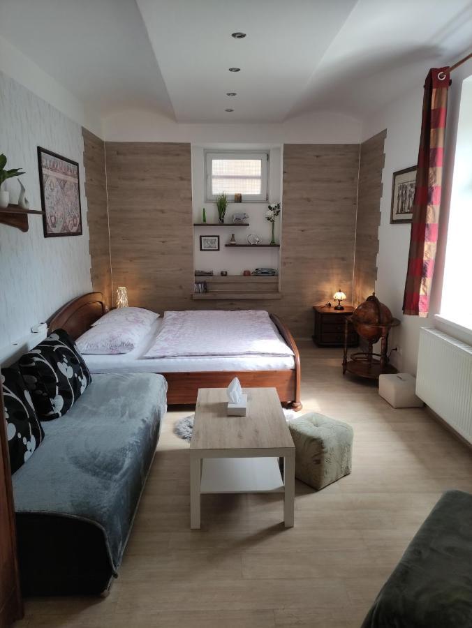 Appartamento Apartmán Friedrichsruh Mariánské Lázně Esterno foto