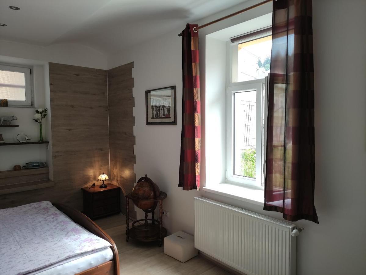 Appartamento Apartmán Friedrichsruh Mariánské Lázně Esterno foto