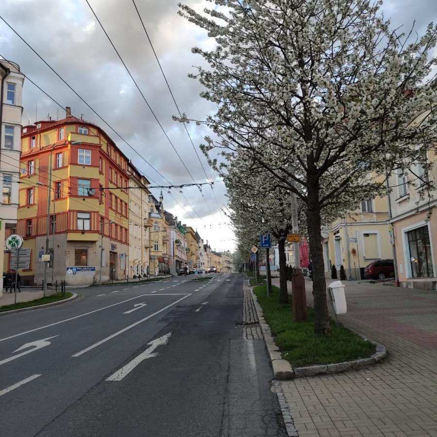Appartamento Apartmán Friedrichsruh Mariánské Lázně Esterno foto