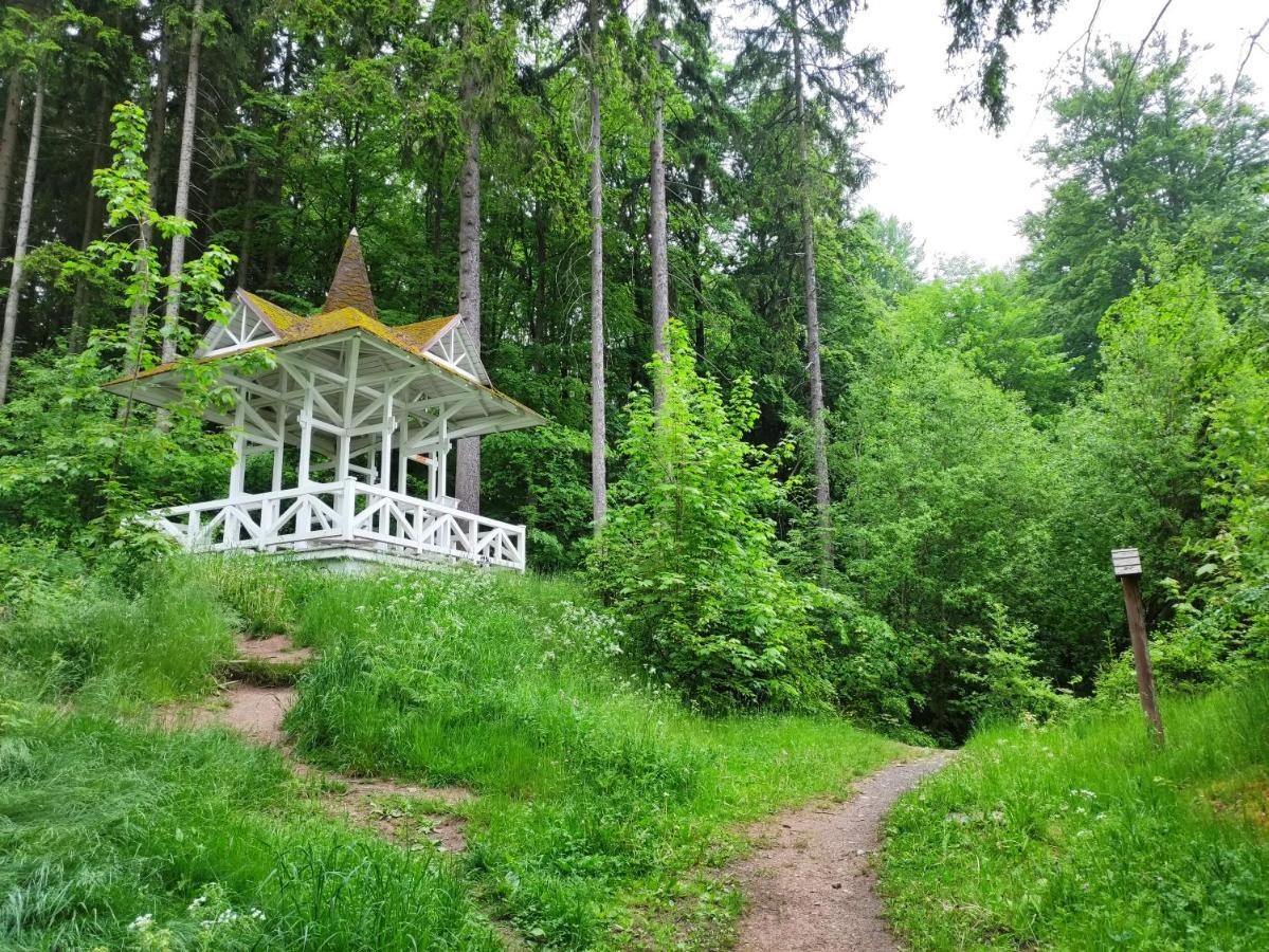 Appartamento Apartmán Friedrichsruh Mariánské Lázně Esterno foto