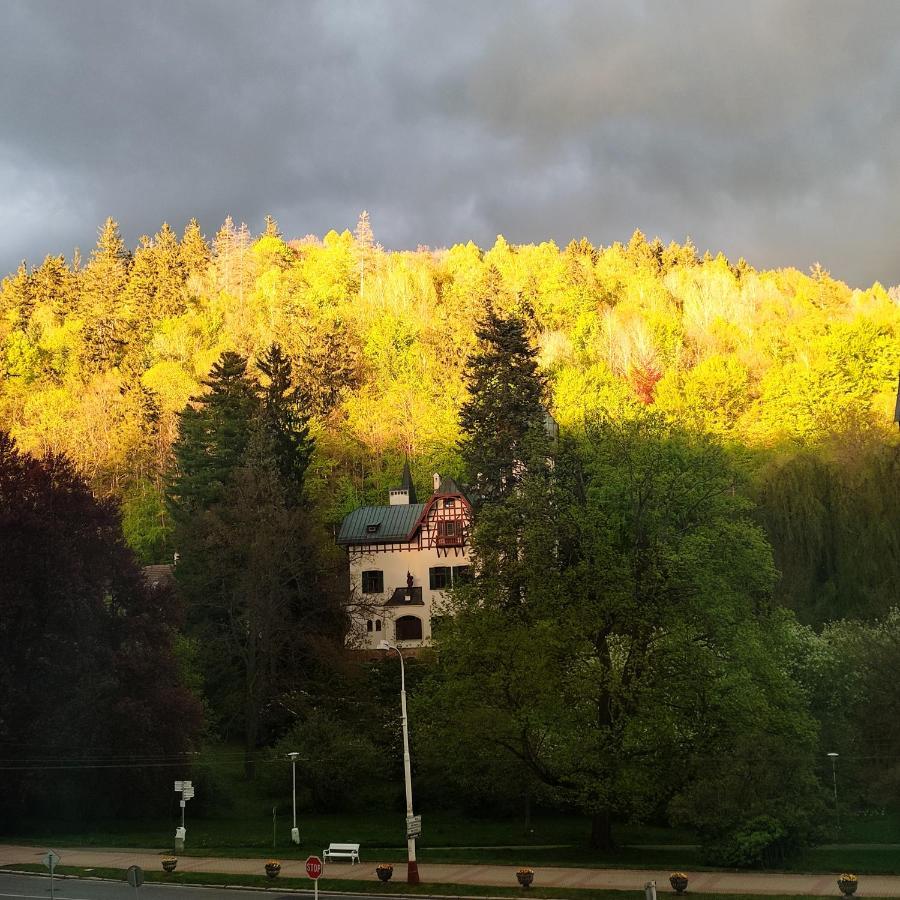 Appartamento Apartmán Friedrichsruh Mariánské Lázně Esterno foto