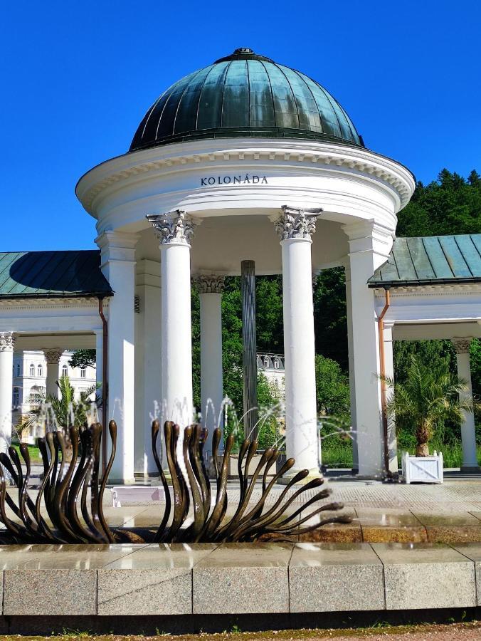 Appartamento Apartmán Friedrichsruh Mariánské Lázně Esterno foto