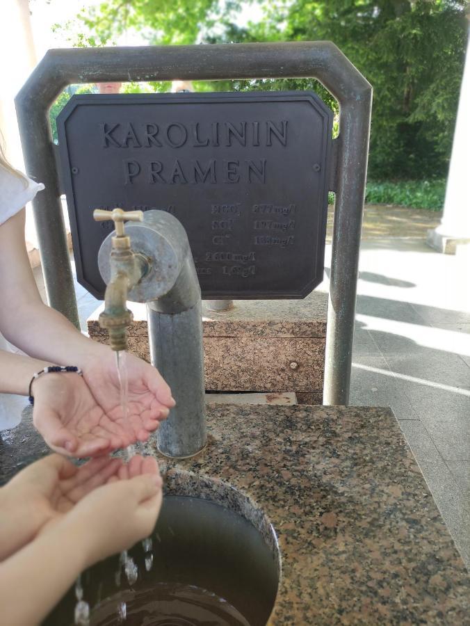 Appartamento Apartmán Friedrichsruh Mariánské Lázně Esterno foto