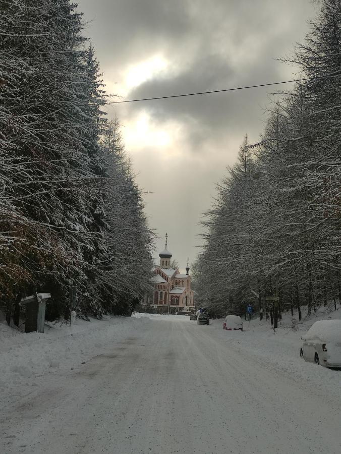 Appartamento Apartmán Friedrichsruh Mariánské Lázně Esterno foto
