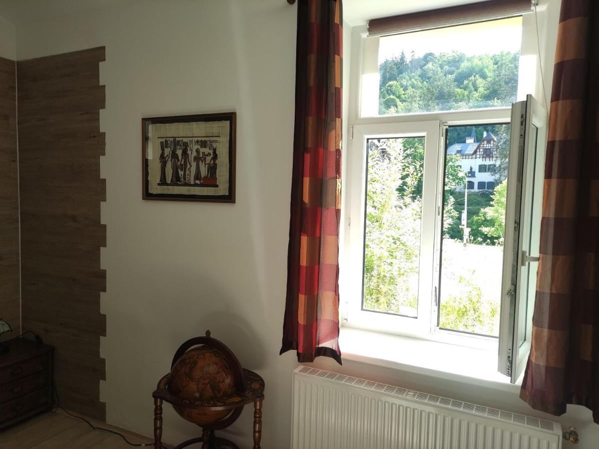 Appartamento Apartmán Friedrichsruh Mariánské Lázně Esterno foto